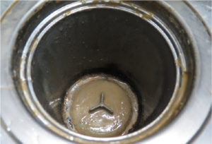 排水口のぬめり