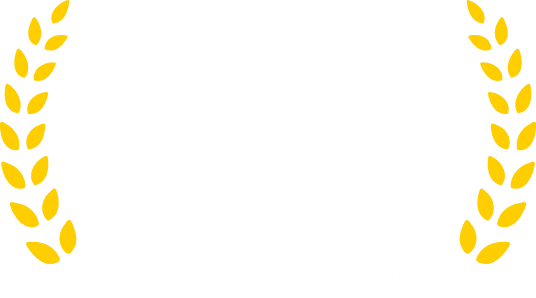 防犯製品の受賞歴 警察庁長官賞 ※ハンド部分